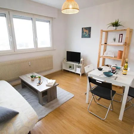 La Belle Vue A Appartement Colmar